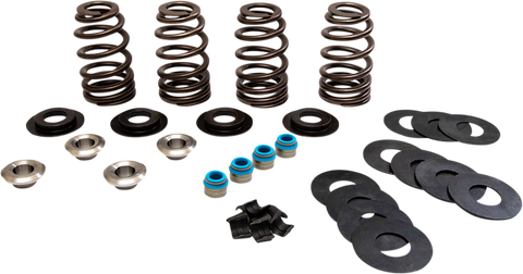 Valve Spring Kit - Econo Beehive with TI Retainers - EVO | Twin Cam