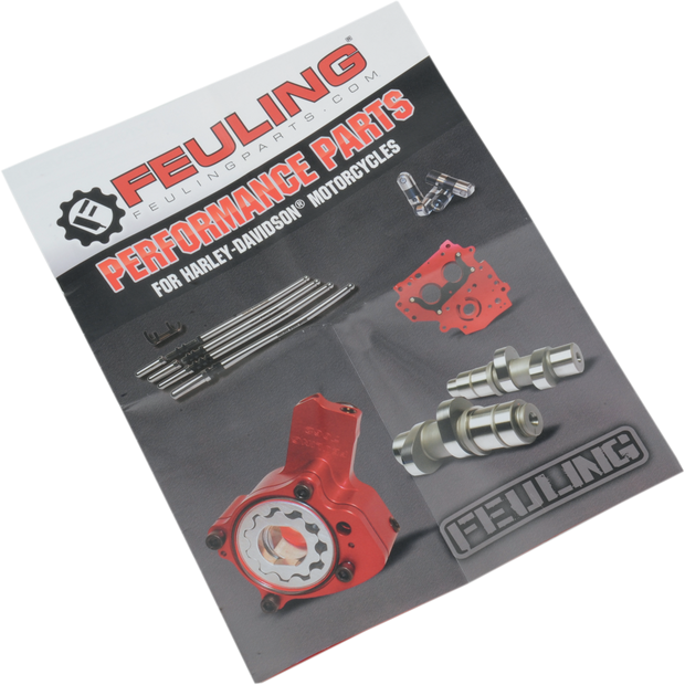 FLYERS FEULING 50PK