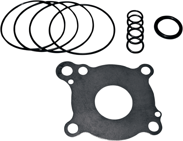 Oil Pump Rebuild Kit - Twin Cam