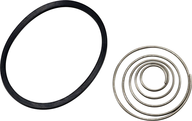Replacement Spring and Oil Ring Set