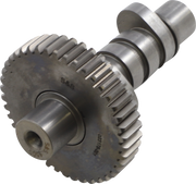 Cam - 450S - Big Twin