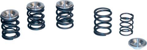 Valve Spring Kit - 0.550" Lift - Panhead | Shovelhead Engines &