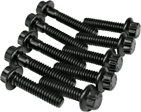 Fastener Kit - Cam Plate/Oil Pump - HP+/Race Series/OE+ - Twin Cam