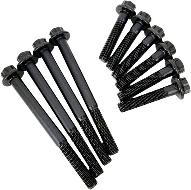 Fastener Kit - Cam Plate/Oil Pump - HP+/Race Series - M8