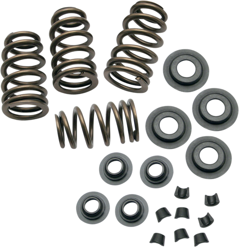 Valve Spring Kit - 0.650" - Sidewinder® - Twin Cam &