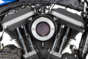 Air Stinger Stealth Air Cleaner Kit - Black Chrome Ring