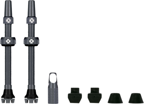 Tubeless Valve Stems - Gray