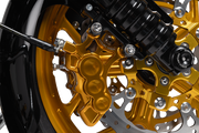 Rotor 14" - Front Right - Gold