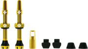 Tubeless Valve Stems - Gold