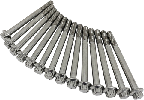 Fastener Kit - Engine Case - Dress-Up - Softail