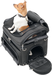 Pet Voyager