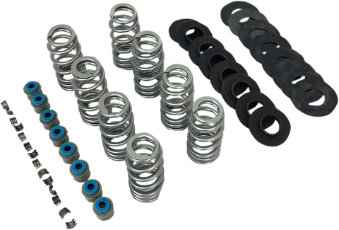 Valve Spring Kit - Endurance Beehive without TI Retainers - M8