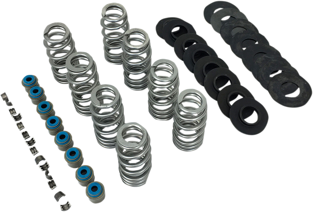 Valve Spring Kit - Endurance Beehive without TI Retainers - M8