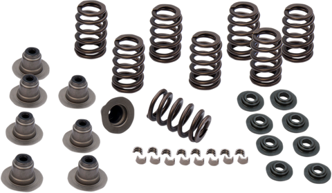 Valve Spring Kit - 0.605" - Heavy Duty - M8