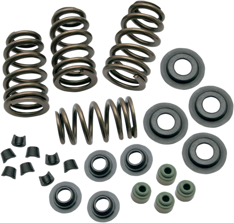 Valve Spring Kit - 0.650" - Sidewinder® - 88"/96"/103" Twin Cam &